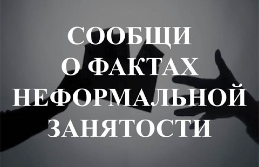 Сообщайте о фактах неформальной занятости